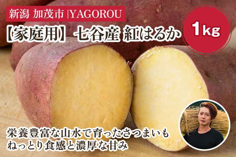 
            【2025年先行予約】【家庭用】紅はるか 1kg（A品・B品混在） 新潟県加茂市七谷産 さつまいも《11月下旬〜順次発送》 サツマイモ お芋 焼き芋 スイートポテト 野菜 根菜 低温熟成 加茂市 YAGOROU ヤゴロウ
          