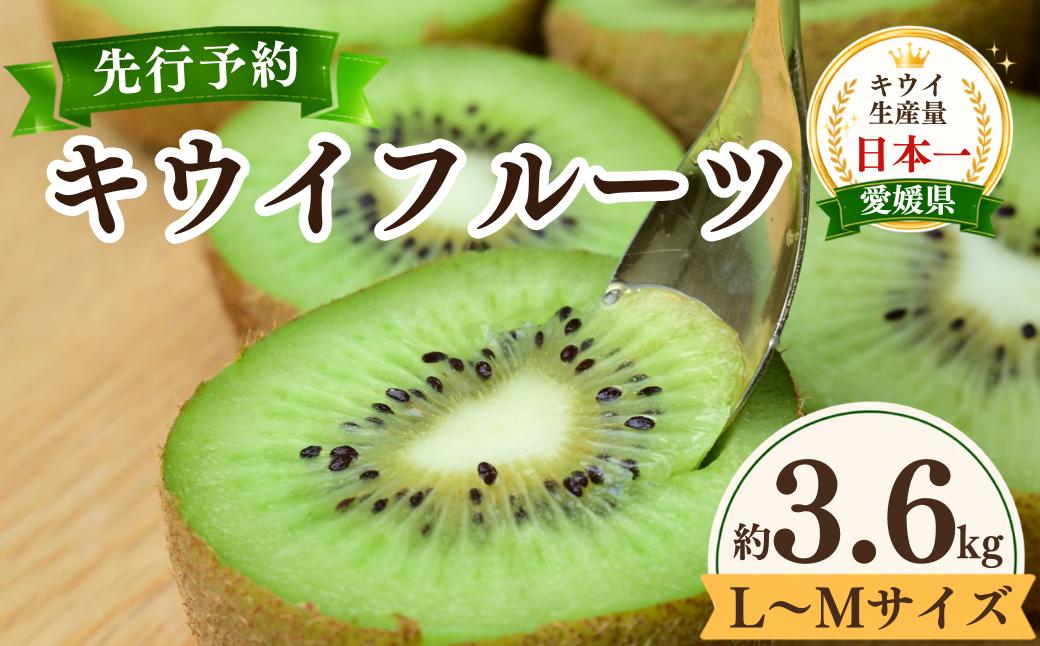 【先行予約】キウイフルーツ 30～33玉 約3.6kg 定数詰 秀M～L キウイ キウイフルーツ きういふるーつ 国産 果物 人気 生産量 日本一 先行予約 先行受付