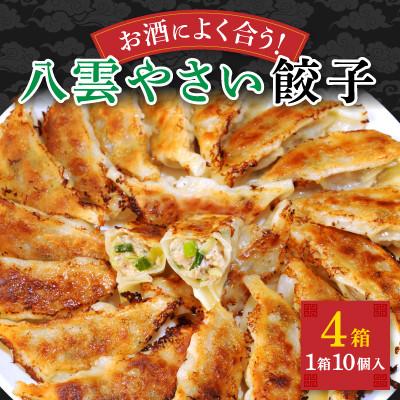 ふるさと納税 八雲町 【毎月定期便】お酒によく合う野菜餃子40個(10個×4箱)全2回