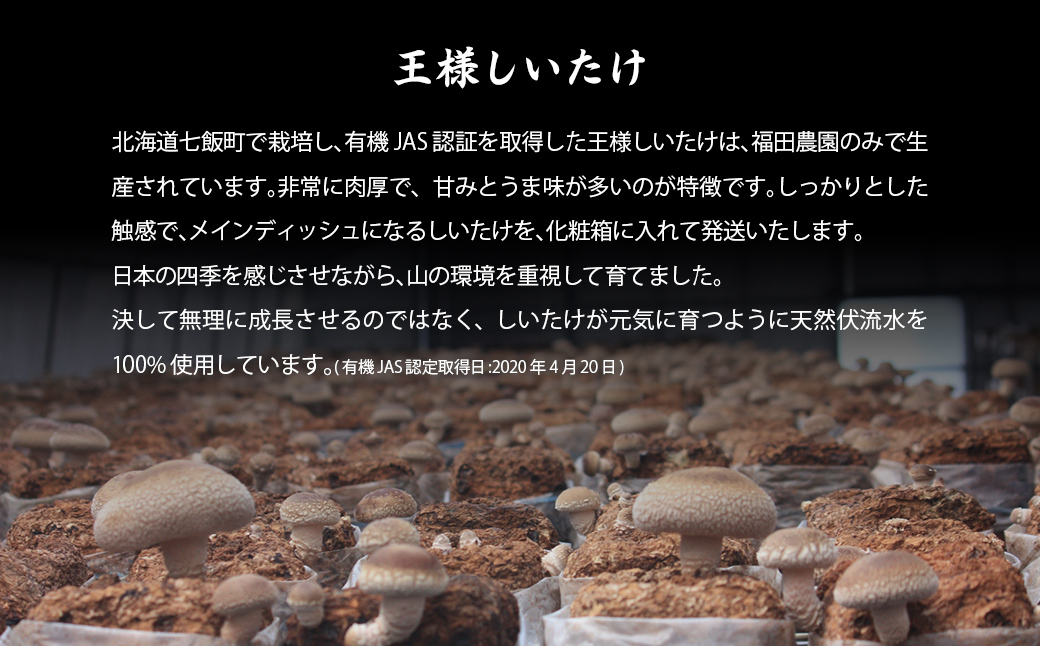王様しいたけお試しセット (王様しいたけ・干ししいたけ・パウダー・だし) 福田農園 NAT005
