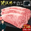 【ふるさと納税】 近江牛 サーロイン ステーキ 250g×3枚 （贈答用黒箱） ブランド牛 牛肉 高級 人気 国産 楽天 寄付 返礼品 お歳暮 ギフト プレゼント お祝い 贈り物 ふるさと納税 近江 東近江 AO12 いろは精肉店