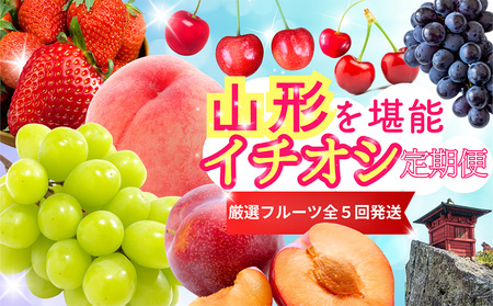 【定期便5回】やまがたを堪能！イチオシ定期便【令和8年産先行予約】FS25-086
