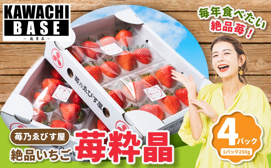 
                  絶品いちご 「 苺粋晶 」 （ 恋みのり ） 4パック（ 250g × 4パック ） 苺 イチゴ いちご 果物 くだもの フルーツ ゆりかーご デザート ギフト プレゼント 贈答 国産 熊本県産 【2027年2月上旬発送開始】
                