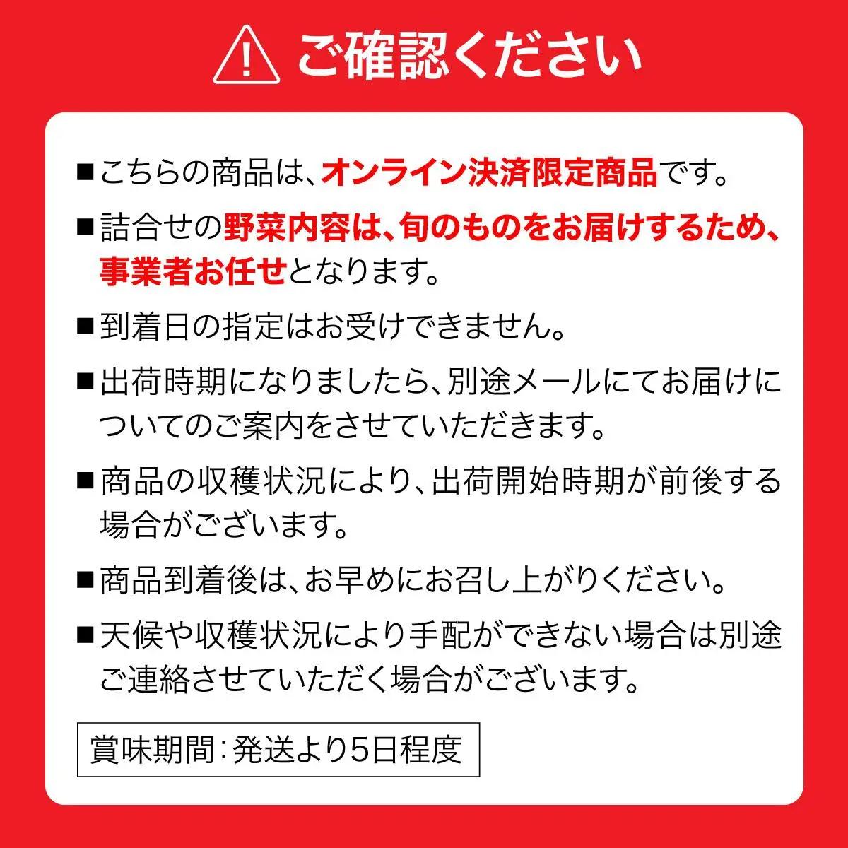 ＜定期便4回＞北海道 伊達市 産直・旬のおまかせ野菜詰合せ 9～10種【dnk-009】