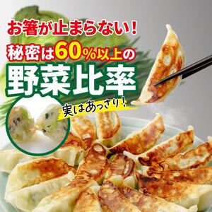 餃子 おトク餃子 大容量 100個セット