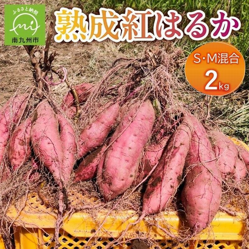 【ふるさと納税】熟成紅はるか2kg