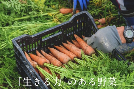 【毎月定期便】【フードロス対応・規格外野菜利用】有機野菜　シェフLセット　オーガニック野菜全6回 6870
