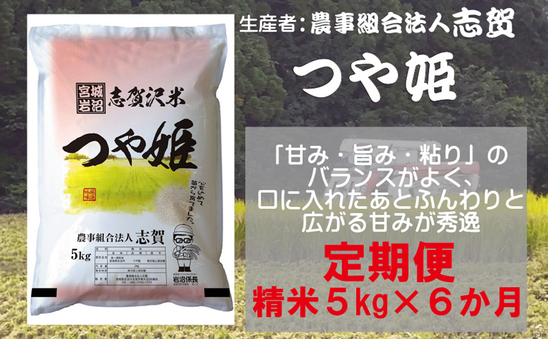 【6ヶ月定期便】宮城県岩沼市産 志賀沢米 つや姫 精米5kg