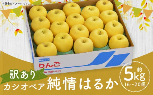 カシオペア 《訳あり》純情はるか 約5kg／りんご 林檎 はるか 果物 フルーツ 糖度 自宅用 お取り寄せ 【2024年12月上旬発送開始】