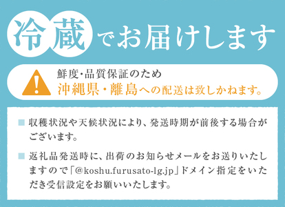 甲州市産 シャインマスカット&サンシャインレッド 2房入（約1.1kg）自然農法【2026年発送】（BNC）B15-427 シャインマスカット サンシャインレッド フルーツ