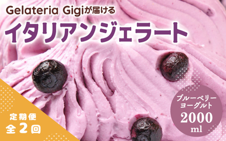【定期便：全2回】ジェラテリアGigiのイタリアンジェラート『ブルーベリーヨーグルト』2000ml【43005702】