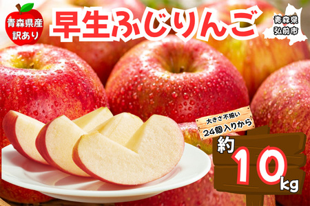 【25年10月～発送】りんご【訳あり ご家庭用】早生ふじ 10kg 青森県産 青森 果物 フルーツ 林檎 リンゴ くだもの