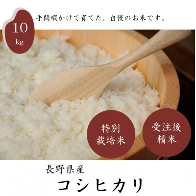 
                  長野県産特別栽培米 コシヒカリ10kg【1651029】
                