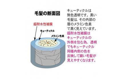 【ブラウン系の髪に】医薬部外品 育毛・発毛促進剤 ドライドライド クイックインパクト 120mL