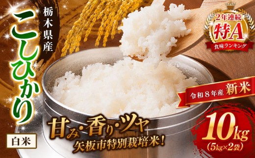 【令和８年産 新米】矢板市特別栽培米 お米 訳あり こしひかり 白米 5kg×2P |栃木県 矢板市