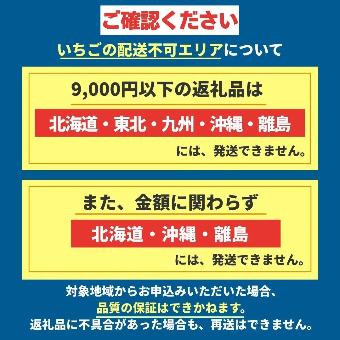 いちご　とちあいか　250g×8パック【2027年 先行予約】 朝採れいちご 