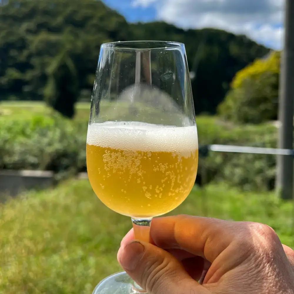 蒜山産クラフトビール 375ml×4本セット 地ビール お酒 岡山県 真庭市【tmizu001-02】