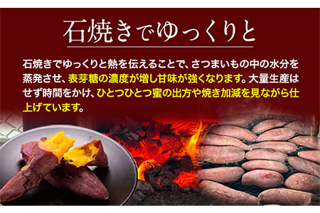 芋 冷凍 石焼きいも 約1.2kg 300g×4袋《6月下旬-9月上旬頃出荷》