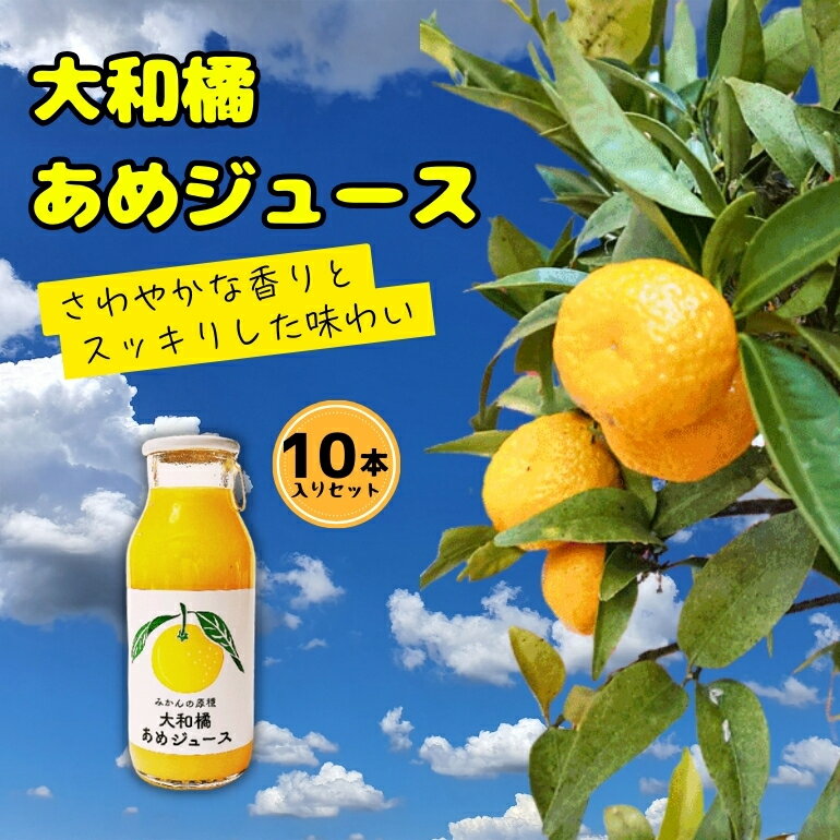 【ふるさと納税】希少 『大和橘あめジュース 10本入り』大和橘 たちばな ジュース セット 詰め合わせ 柑橘類 柑橘系 お歳暮 ギフト プレゼント 贈り物 お正月 (ならBonbon) 奈良県 奈良市 なら 16-003