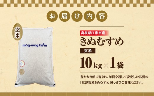 【先行予約】【R8年度産】島根県江津市 きぬむすめ 玄米 10kg MG-6｜ 島根県江津市産 国産 米 玄米 きぬむすめ ごはん ご飯 弁当 おにぎり 10キロ