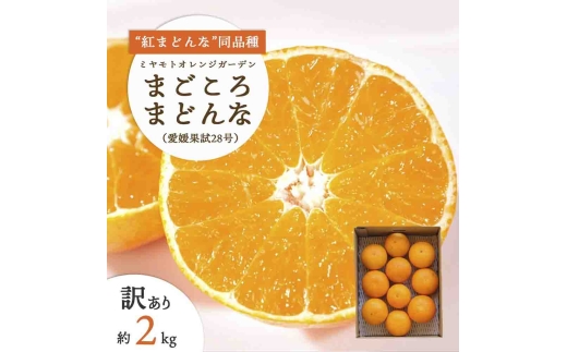 ＜訳あり＞紅まどんな と同品種!愛果28号 2kg＜C25-179＞【1606309】 YWTAP120