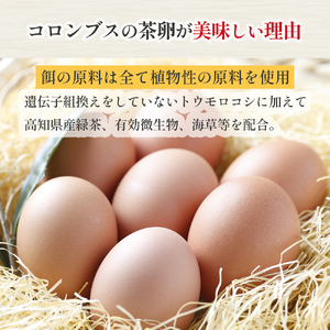 卵が苦手な子どもも食べられた！生臭くないおいしい卵 6個入×5P たまご ／Gbn-A03