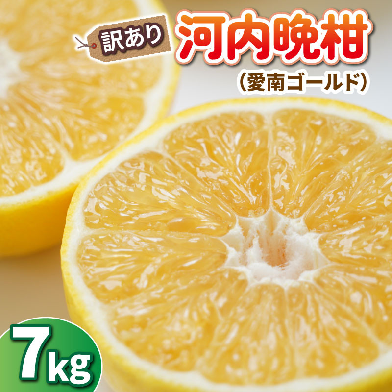 
            先行予約 訳あり 河内晩柑 7kg みかん 蜜柑 オレンジ 温州みかん グレープフルーツ 愛南ゴールド 文旦 ポンカン デコポン 不知火 愛媛みかん レモン ブラッドオレンジ ネーブル 果物 くだもの 果実 柑橘 かんきつ mikan フルーツ 果汁 ゼリー ジュース 甘い ジューシー ビタミン 美容 健康 特産品 国産 産直 愛媛県 愛南町 ひなたのみかん
          