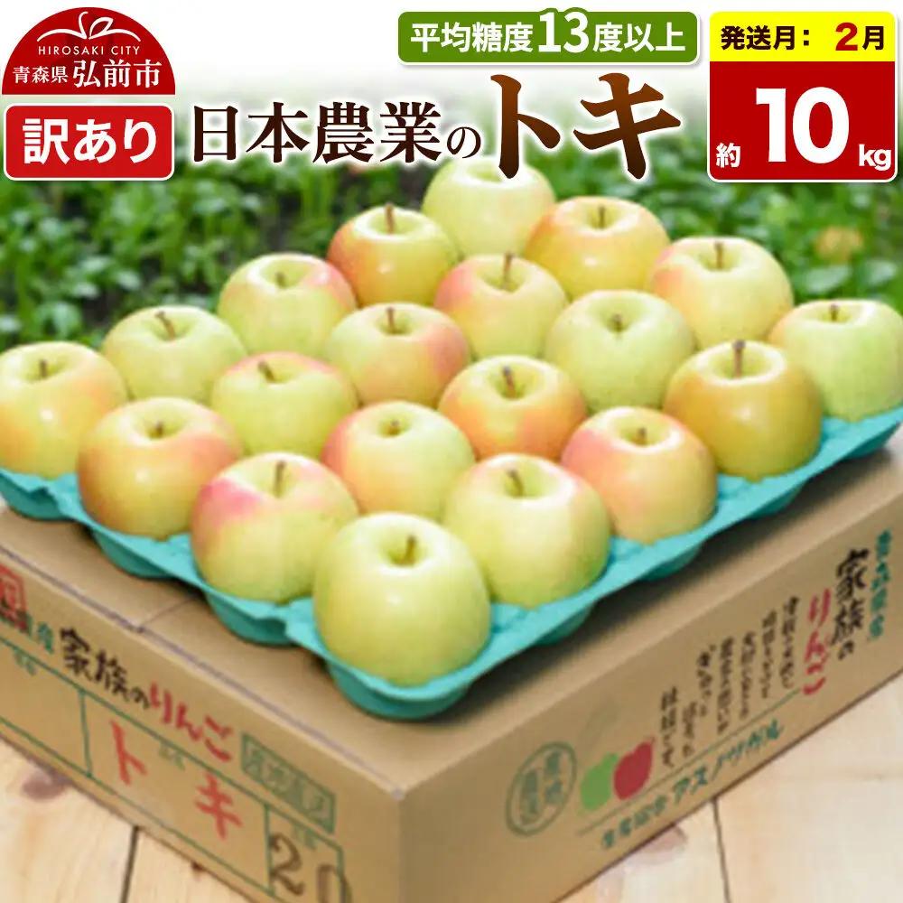 【27年2月発送】りんご トキ【訳あり】約10kg 平均糖度13度以上 青森県 弘前市 果物 フルーツ 林檎 リンゴ くだもの 不揃い 規格外