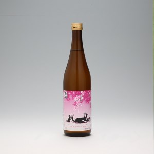 【R8.2月下旬より順次発送】鯉川酒造 特別純米 恋の川 春の酒 720ml【池沢理美猫ラベル】 （入金期限：2026.4.30）春限定 季節限定 日本酒 地酒 老舗酒蔵 山形 庄内町