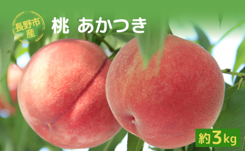 長野市産桃「あかつき」約3kg