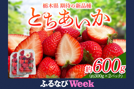 【ふるなびWEEK対象】[先行予約]「とちあいか 2パック」計約600g 可愛いハート形 [2026年1月中旬から順次発送]｜とちあいか いちご イチゴ 苺 果物 フルーツ 日光産 栃木県産 期間限定 数量限定 FN-Limited-PR [0674f]