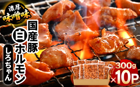 国産豚 白ホルモン しろちゃん 濃厚味噌味 300g × 10p (計3kg) 【豚 豚肉 ぶた ホルモン ほるもん 豚腸 味噌 濃厚 おつまみ おかず 夜のおかず 夜ごはん 味付き 冷凍 国産】 [A-12436]