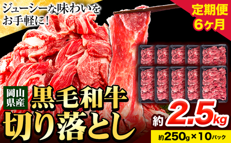 牛肉【6ヶ月定期便】 肉 黒毛和牛 切り落とし 訳あり 大容量 小分け 2.5kg 1パック 250g 定期便《お申込み月翌月から出荷開始》岡山県産 岡山県 笠岡市 お肉 にく カレー 牛丼 切り落し 切落し