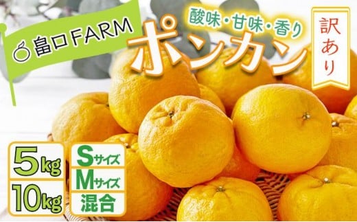 
                  ＜選べるサイズ・容量＞訳ありポンカン
                