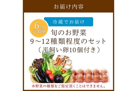 野菜 定期便 6回（卵付き）【アスカ有機農園】京の旬野菜セットL平飼い卵付き（栽培期間中農薬・化学肥料不使用）＜京都 オーガニック アクション加盟＞京野菜セット・野菜 詰め合わせ・栽培期間中 無農薬・