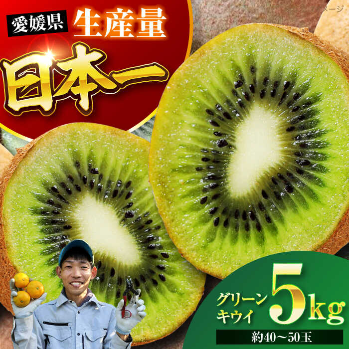 【ふるさと納税】【先行予約】【11月中旬より順次配送】 グリーン キウイ 5kg （約40から50玉） 大洲市/玉川農園[AGBC007] キウイ キウイフルーツ 果物 くだもの フルーツ 愛媛県産 大洲市産 産地直送 おすすめ 人気 お取り寄せ 送料無料 贈答 ギフト