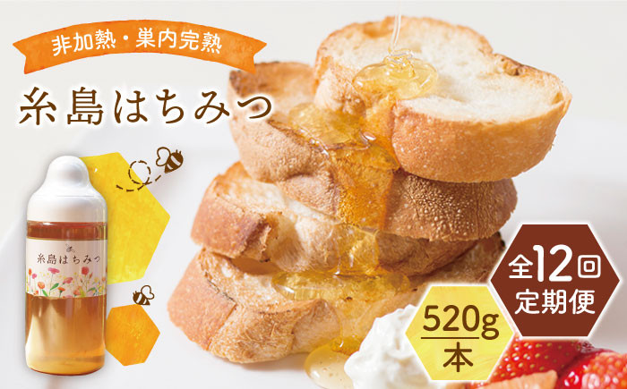
                  【全12回定期便】糸島 はちみつ 520g 糸島市 / ヴァンベールフーズ /百花 / 蜂蜜 [AFJ007]
                