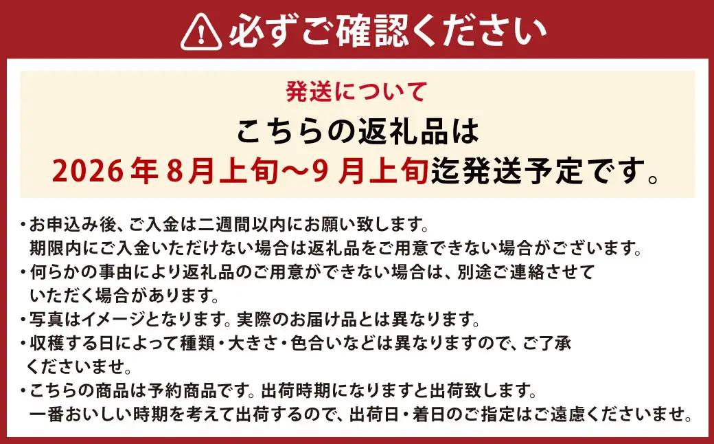 きたいろトマト 700g 朝もぎトウキビ 7本 セット 【2026年8月上旬～9月上旬迄発送予定】 トマト とうもろこし トウモロコシ 野菜 朝採れ オーガニック