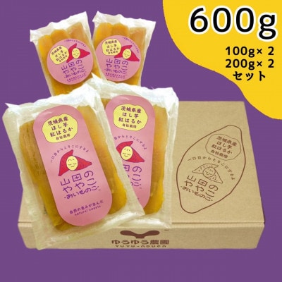 山田のややこ -おいものこ- ほしいもセット 600g(100g×2個・200g×2個)【配送不可地域：離島・沖縄県】【1501790】