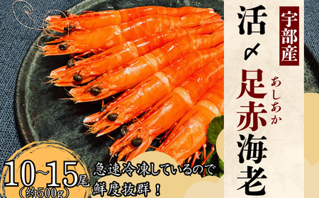 【活き〆】冷凍 足赤えび 500g | 足赤えび 足赤えび 足赤えび 足赤えび 足赤えび 山口県 宇部市