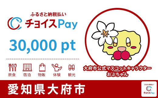 
                  大府市チョイスPay 30,000pt【会員限定のお礼の品】
                