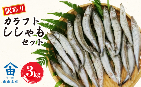 訳あり ししゃも 3kg カラフト 丸干し ひもの セット 冷凍 沼津 静岡 ｼｼｬﾓ ｼｼｬﾓ ｼｼｬﾓ ｼｼｬﾓ