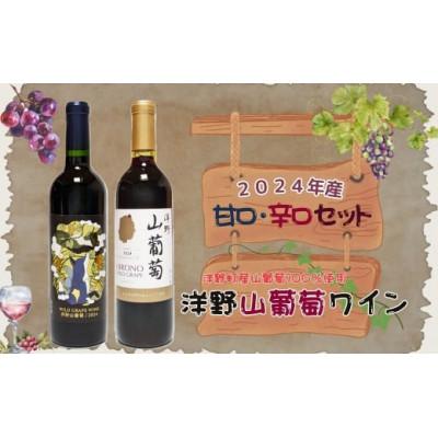 ふるさと納税 洋野町 【2024年産】洋野山葡萄ワイン 720ml(甘口・辛口 2本セット)各1本