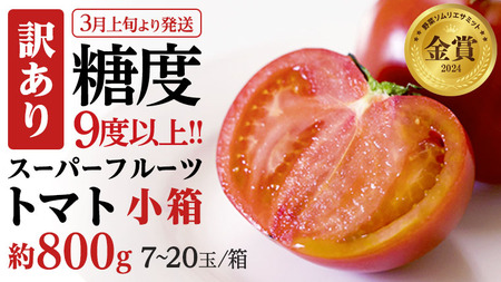 《 2026年収穫分 先行予約 》 訳あり 糖度9度以上 スーパーフルーツトマト 小箱 約800g × 1箱 (7～20玉/1箱) フルーツトマト ブランドトマト 野菜 ギフト 贈答 [BC042sa]
