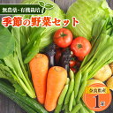 【ふるさと納税】生命の農法（ 無化学農薬 ・ 無化学肥料栽培 ） 季節の野菜 セット | ヤサイ 野菜 やさい 詰め合わせ 奈良県 五條市