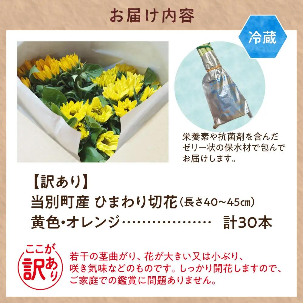 【訳あり】ひまわり 切花 30本 黄色 オレンジ 四季農場《6月上旬-9月下頃出荷》