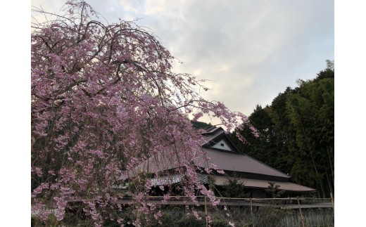 明治期の古民家「みのる庵」平日１組限定 地元食材の食事と宿泊 [1233] 宿泊券 古民家 宿泊 民泊 テントサウナ サ活 書家 １組限定 体験