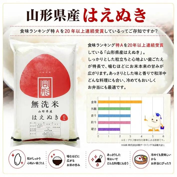 (10月～9月)≪12ヶ月定期便≫ 無洗米 はえぬき 5kg×12ヶ月連続 計60kg 山形県産 毎月中旬にお届け 東北 山形県 遊佐町 庄内地方 精米 白米 セット 阿部ベイコク[1543T10]