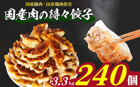訳あり 餃子240個 冷凍 大容量餃子 ぎょうざ IB