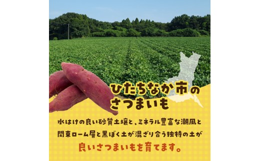 【訳あり】洗いさつまいも(無選別) 10kg 茨城県ひたちなか市産  |  訳あり 採れたて 新物 シルクスイート しるくすいーと・SS～Lサイズ混合 さつまいも 茨城県 サツマイモ 生芋 ほくほく 